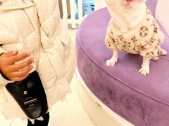 -怪兽屋·羊驼·猫咖·狗咖(俊华广场店)