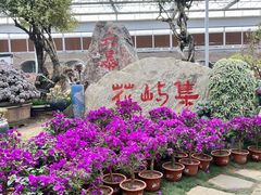-沂蒙云瀑洞天景区