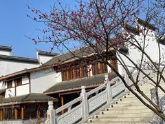 -洋湖国家湿地公园