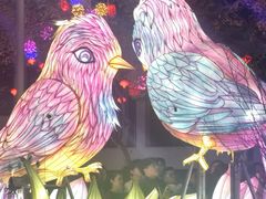 -厦门园林博览苑