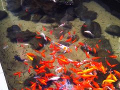 -泉乐坊步行街(烟酒特产平价超市店)