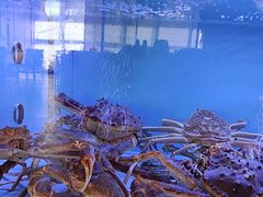 -阿伟海鲜楼·福建菜(延寿店)