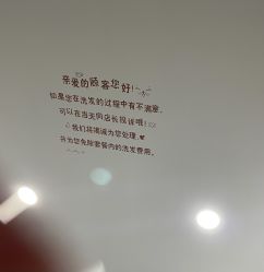 -镁连社·美联社