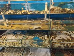 -仙螺岛海鲜自助餐厅(总店)