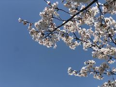 -龙美术馆西岸馆-停车场