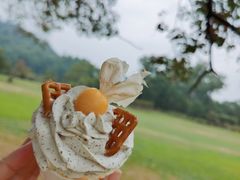 -福建鲤鱼洲酒店