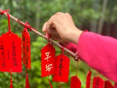 -东明山森林公园