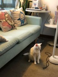 -尚美日式美甲美睫工作室