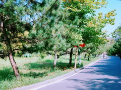 -日照海滨国家森林公园