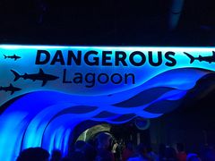 -瑞普利水族馆