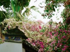 -深圳国际园林花卉博览园