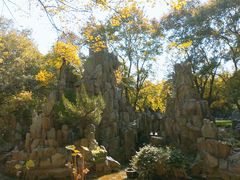 -山东大学(趵突泉校区)