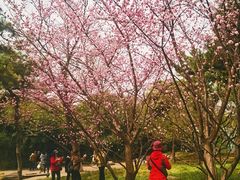-丰台花园