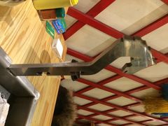 欢乐牧人金牌炭烤-欢乐牧人蒙古炭烤羊腿(四平路店)