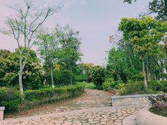 -上海滴水湖皇冠假日酒店