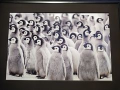 -罗红摄影艺术馆