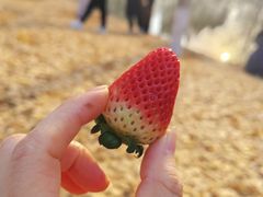 -西安浐灞国家湿地公园