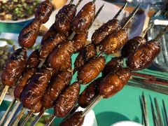 蚕蛹-玉园烧烤·海鲜辣炒