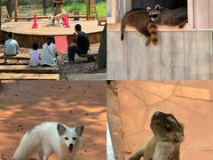 -南戴河国际娱乐中心