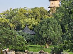 -江心屿景区