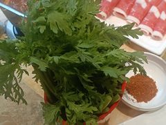 -清真军邺·金富苑肥牛(石坡街旗舰店)