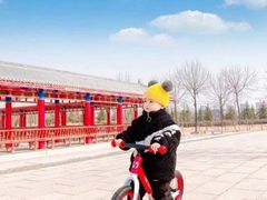 -八爪矩阵极限运动馆·儿童平衡车·感统训练(南海子公园校区)