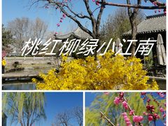 -三里河公园