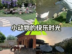 -HERRE·FARM 赫尔露营农场·团建聚会包场