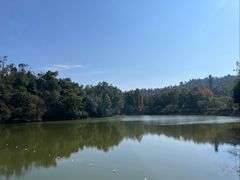 -青龙山国家森林公园