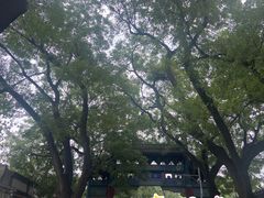 -北京国子监胡同