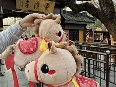 -南宋胡记(杭州灵隐寺店)