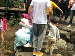 -宁波五龙潭景区