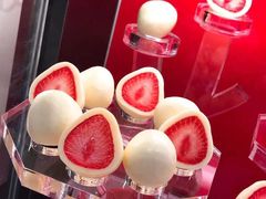 -TIAT DUTY FREE SHOP NORTH(羽田机场店)