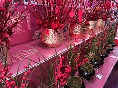 -越秀西湖花市(广州城市广场花卉店)