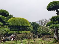 -南宁南湖公园