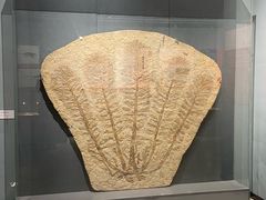 -大连自然博物馆·地球展厅