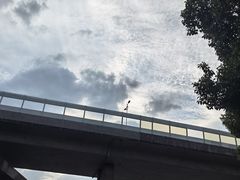 -贡湖湾湿地公园