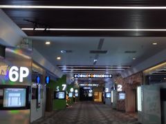 -保利国际影城(保利文化广场店)