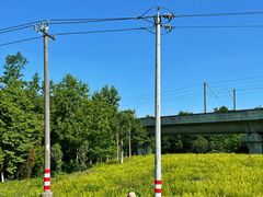 -桤木河湿地公园