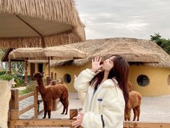 -珠海海泉湾神秘岛亲子乐园