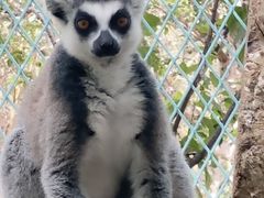 -水上乐园·欢乐世界