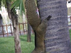 -MAP CHA普洱茶馆(翠湖店)