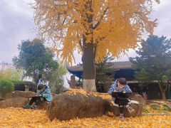 -望江楼公园