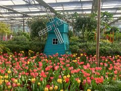 -南宫五洲植物乐园