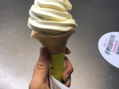 柚子-肯德基(正定机场安检内店)