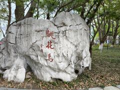-金鸡湖桃花岛