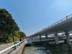 -演武大桥观景平台