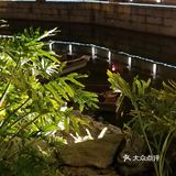 [种草]小朋友，你是否有许多问号❓❓❓