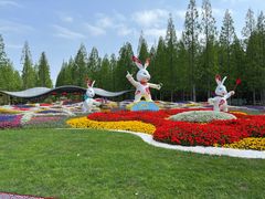 -东平国家森林公园
