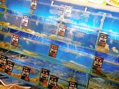 水产区-小船渔村•大连菜•大连焖鱼(明泽街店)